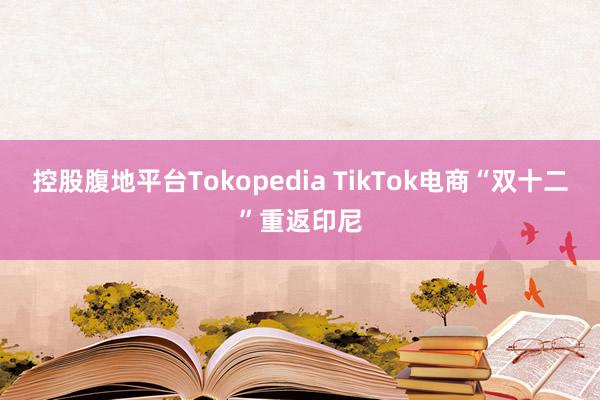 控股腹地平台Tokopedia TikTok电商“双十二”重返印尼